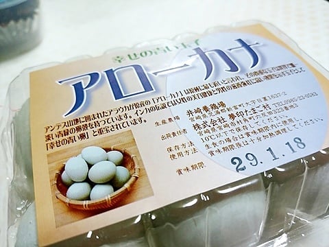 宮崎市のたまご村でアローカナという世界で唯一の青い殻の卵を買いました