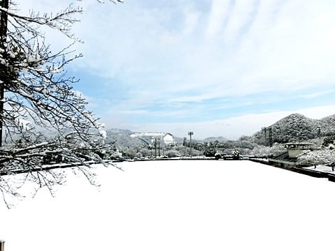 雪　運動公園　国見ケ丘　高千穂　はなまる　貸し別荘