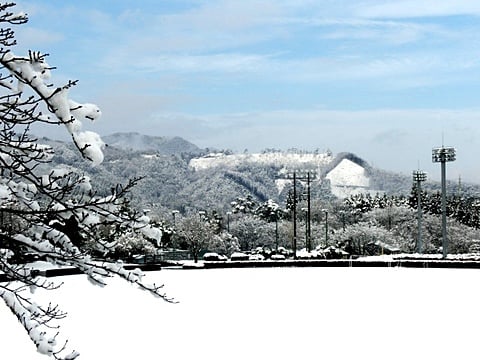 雪　運動公園　国見ケ丘　高千穂　はなまる　貸し別荘